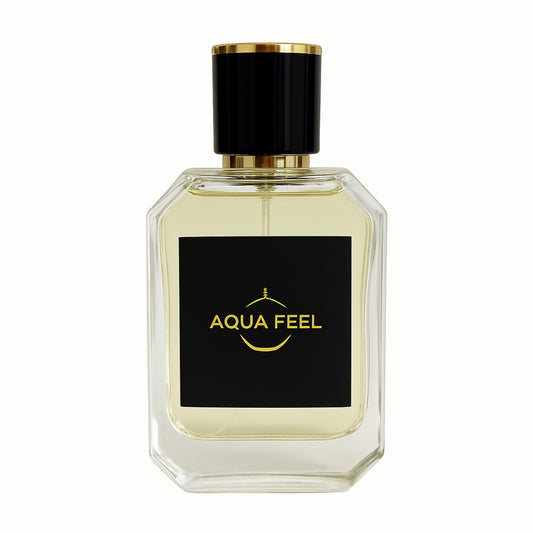Aqua Feel - Nearest Match to Cool Water - For Him